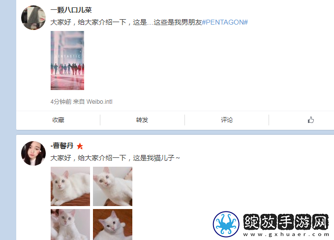 大家好