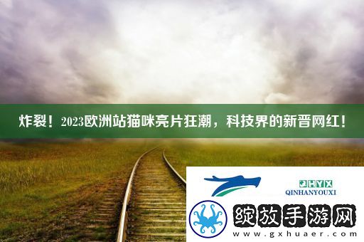 炸裂！2023欧洲站猫咪亮片狂潮