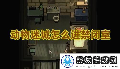 动物迷城怎么进禁闭室