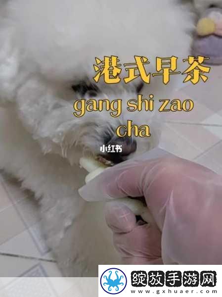 人狗胶配方大全免费天