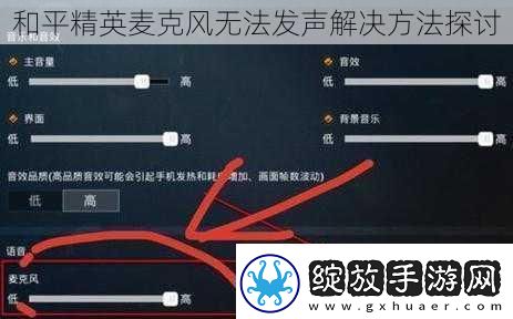 和平精英麦克风无法发声解决方法探讨