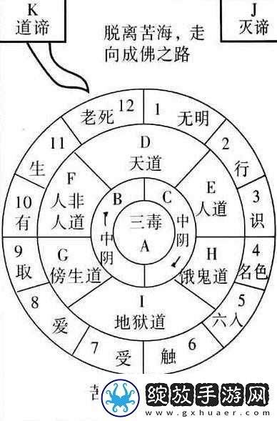 生命的轨迹