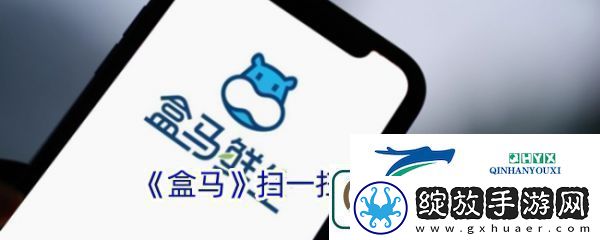 盒马鲜生app如何扫码查询订单盒马扫一扫功能位置
