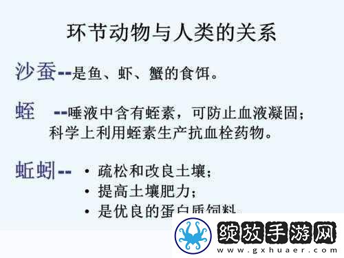 人与动物PPT免费模板大全