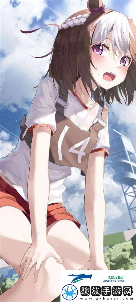 “成品网站1.1.719能满足现代建站需求吗