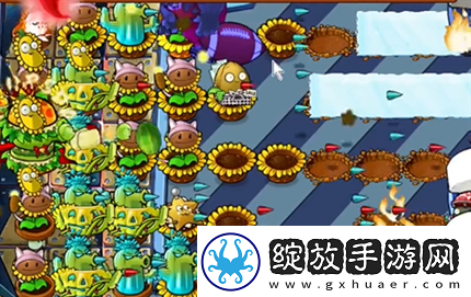 pvz杂交版英雄模式全息大脑的秘密过关攻略