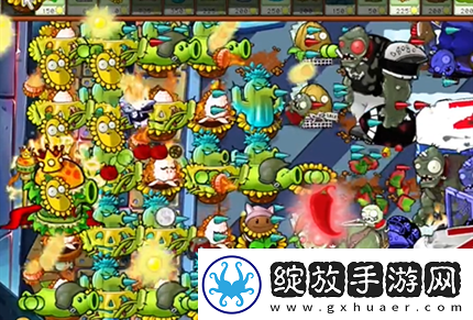 pvz杂交版英雄模式全息大脑的秘密过关攻略