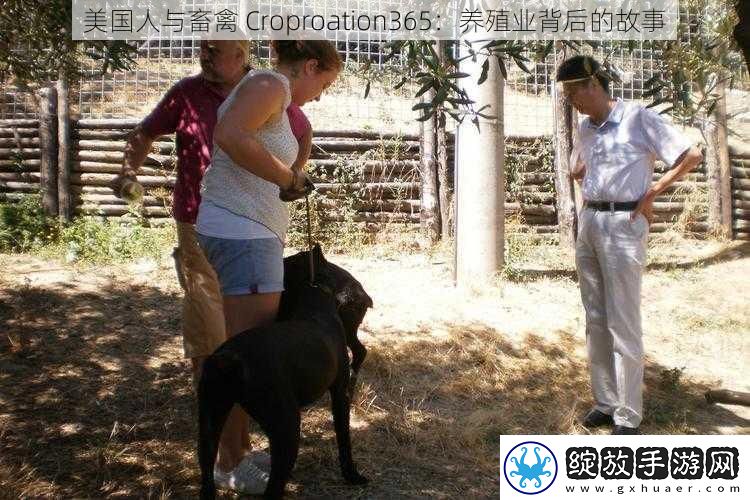 美国人与畜禽