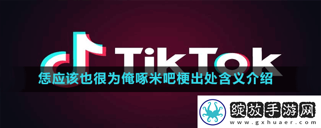 恁应该也很为俺啄米吧是什么梗
