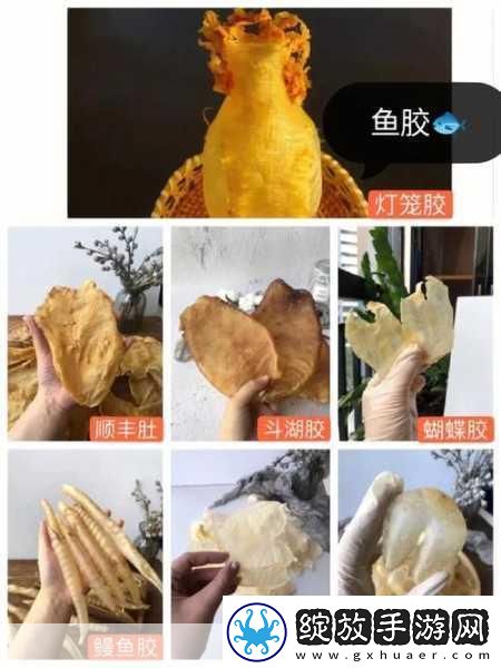 美国人与动物胶配方有几种