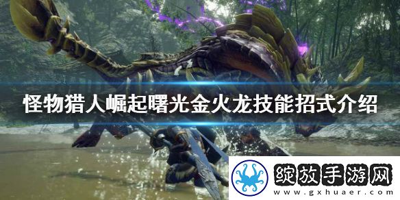 怪物猎人崛起金火龙怎么打