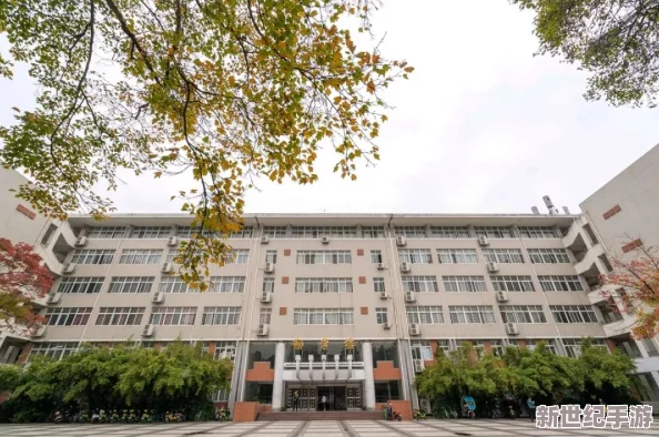 中国一级毛片