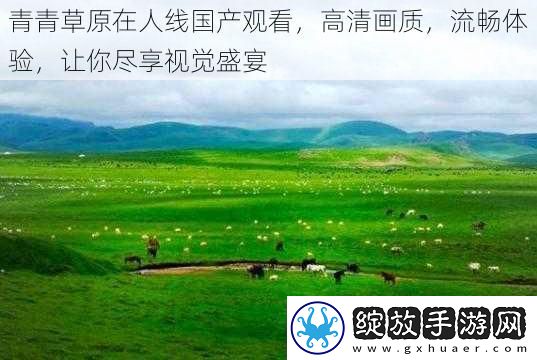青青草原在人线国产观看