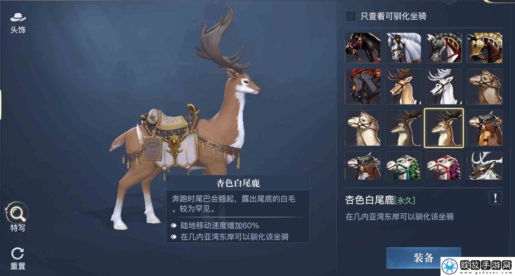 黎明之海稀有坐骑免费获取