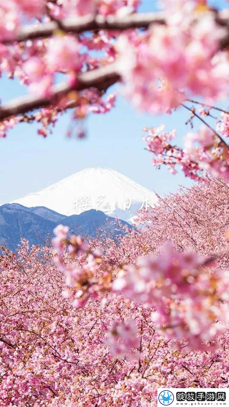樱花官官方进入
