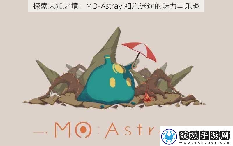 探索未知之境