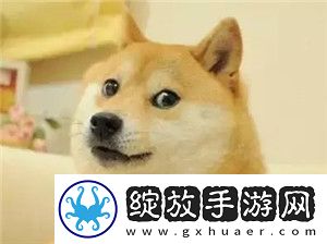 打了一张八万是什么意思