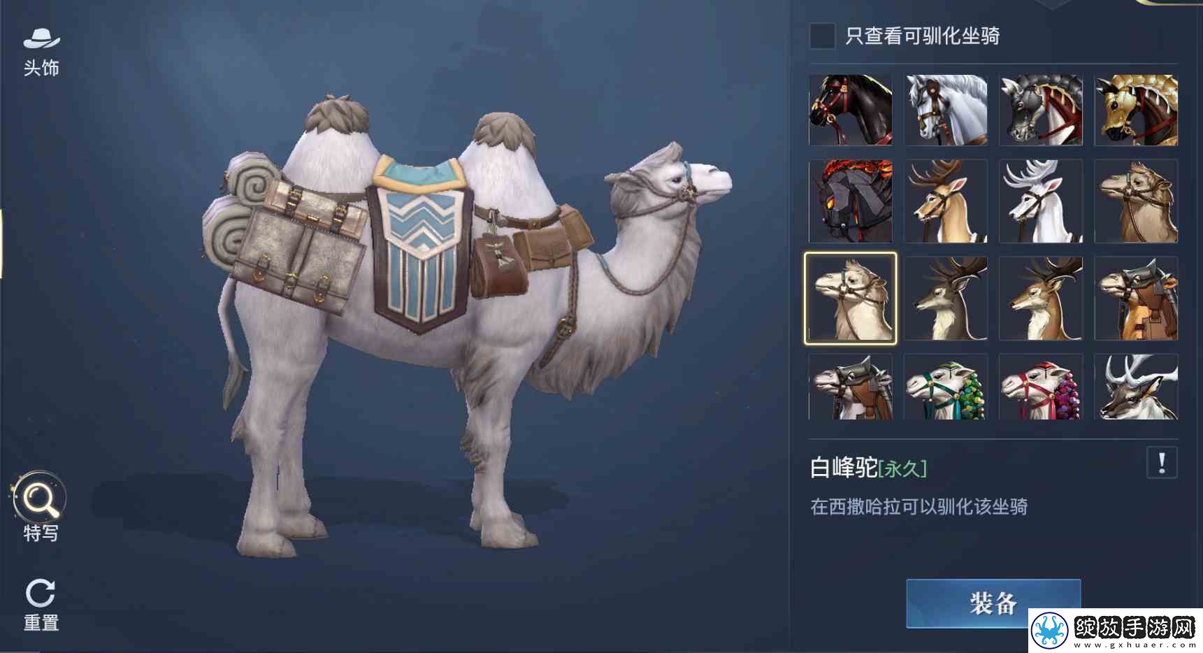黎明之海稀有坐骑免费获取