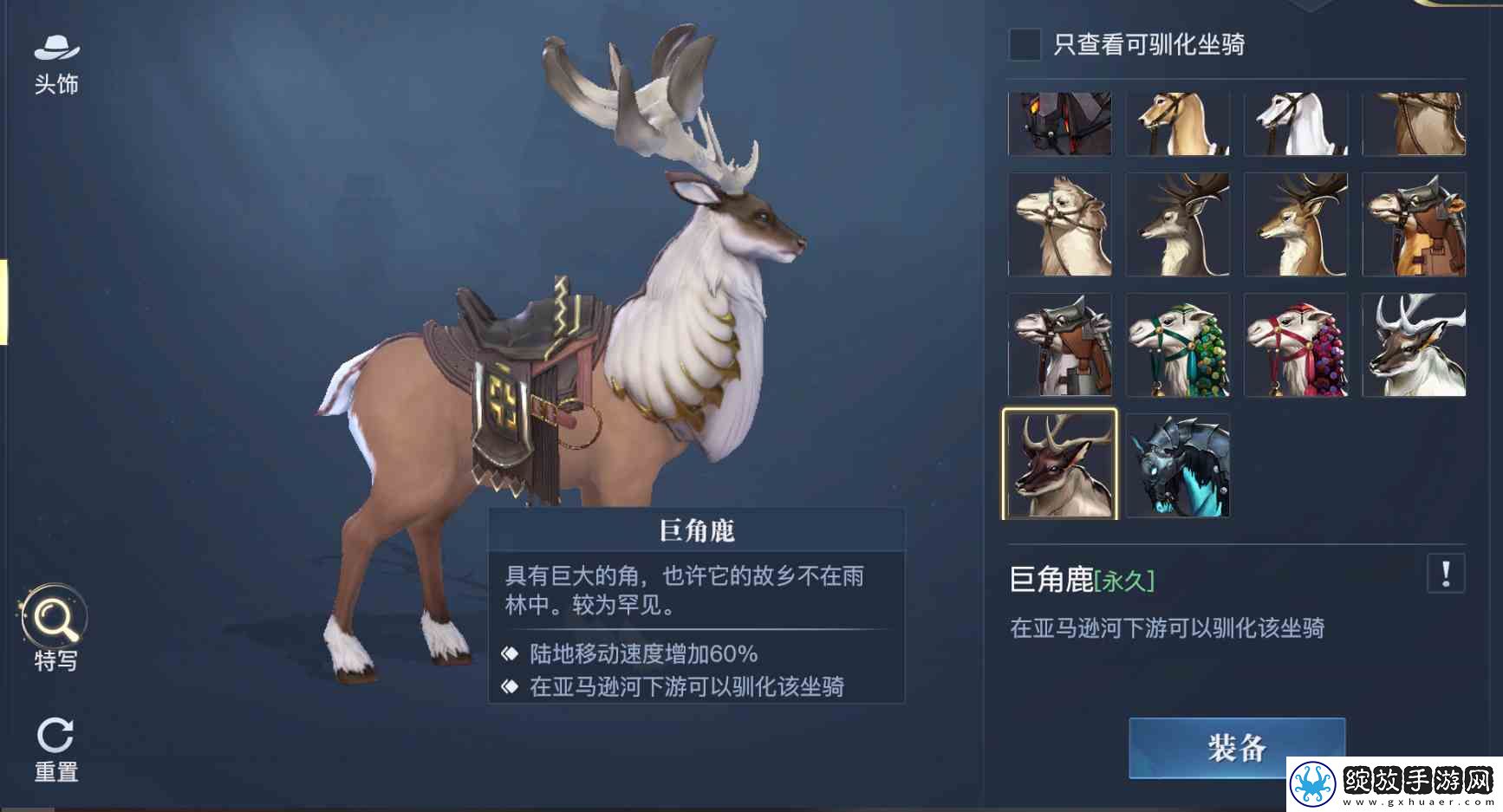 黎明之海稀有坐骑免费获取