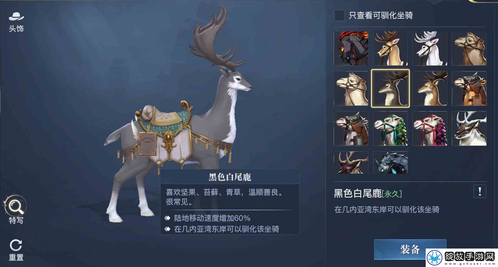 黎明之海稀有坐骑免费获取