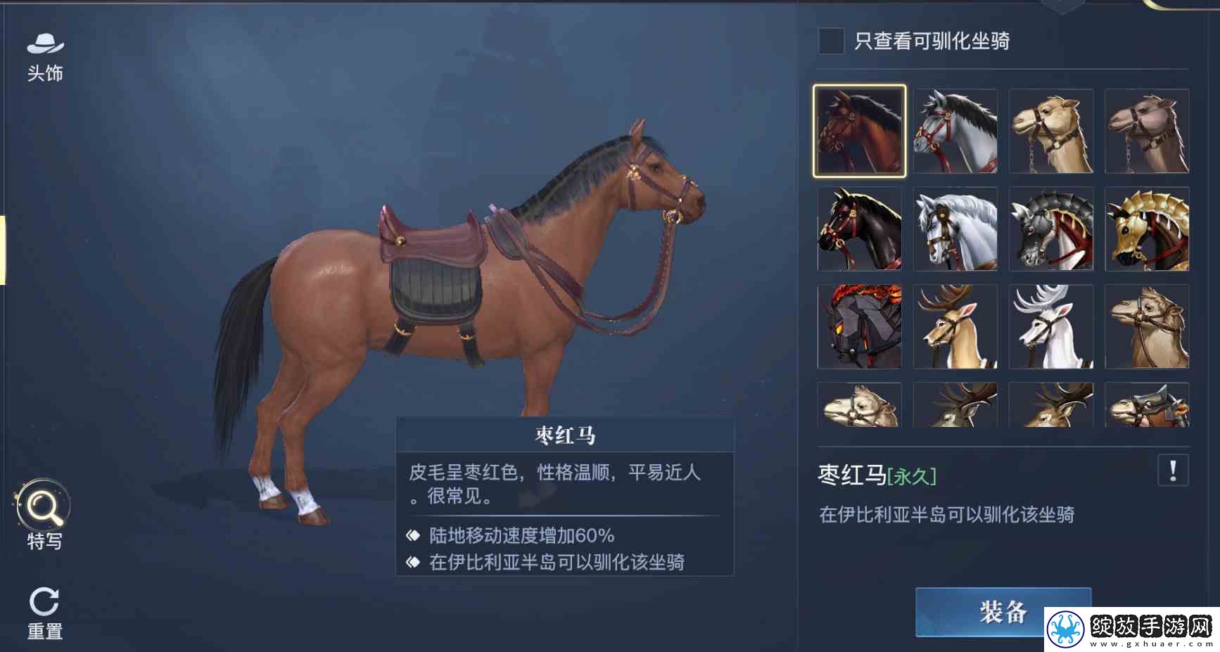 黎明之海稀有坐骑免费获取