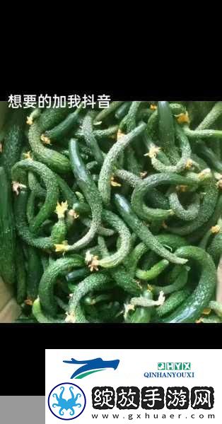 他的舌头好像有魔力一般剧情内容经典
