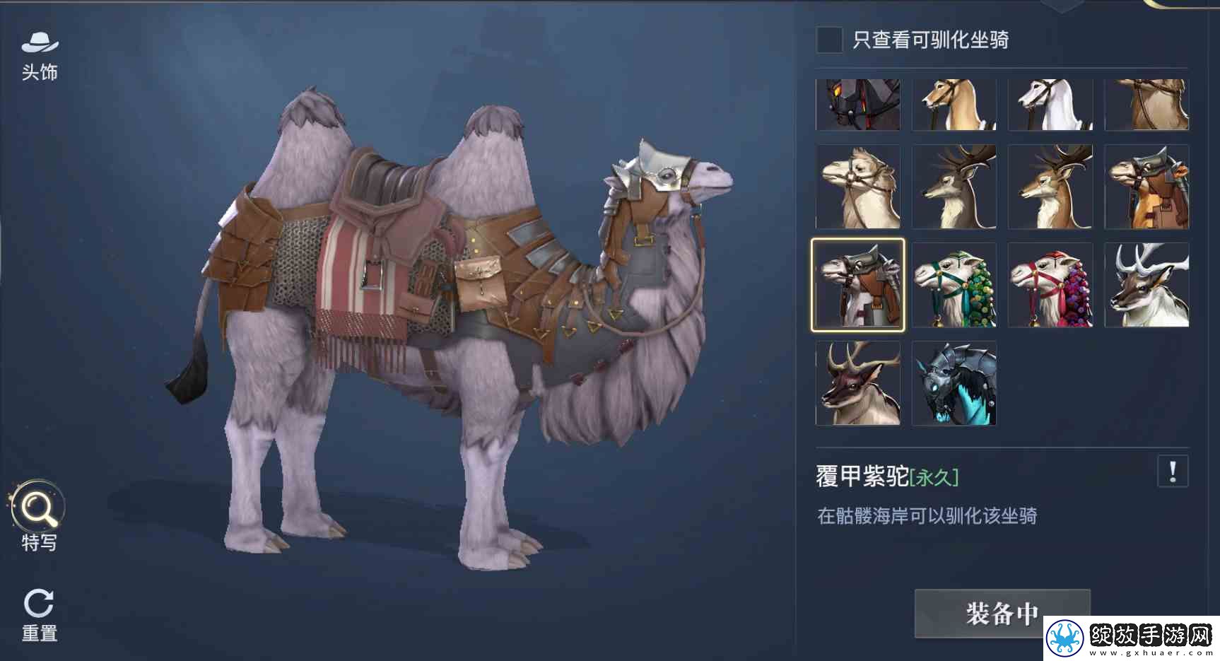 黎明之海稀有坐骑免费获取