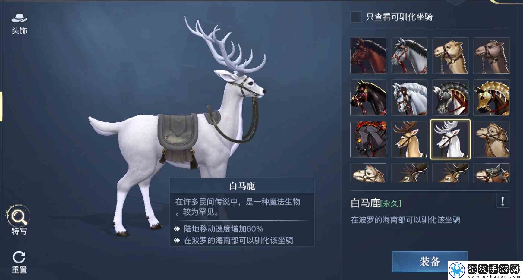 黎明之海稀有坐骑免费获取