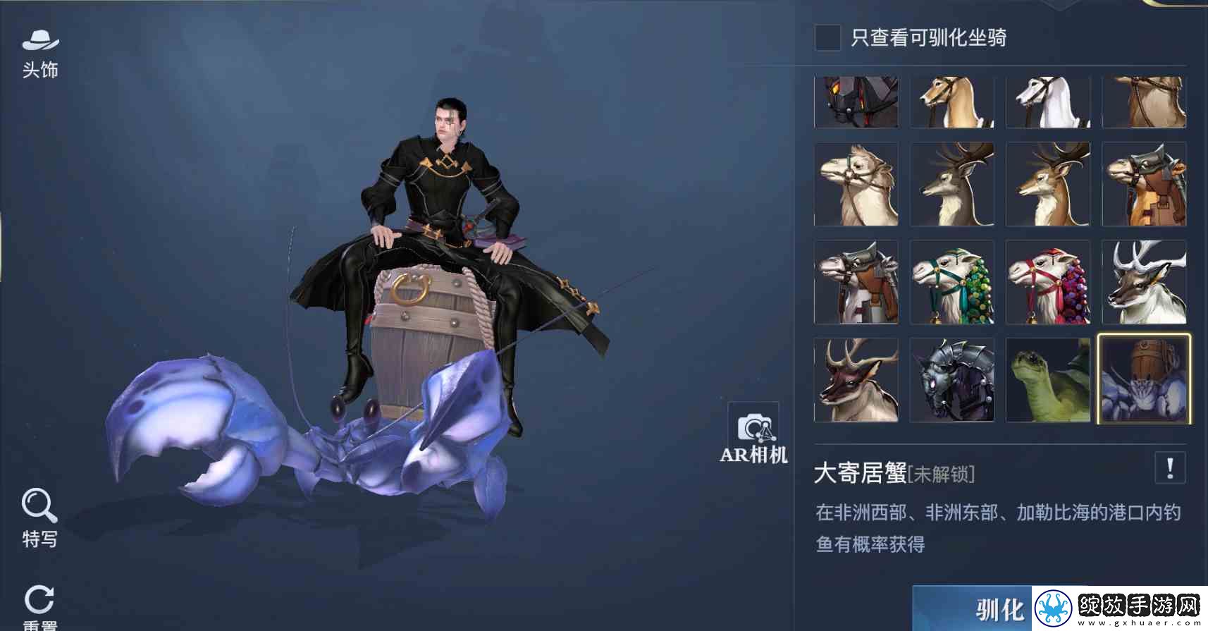 黎明之海稀有坐骑免费获取