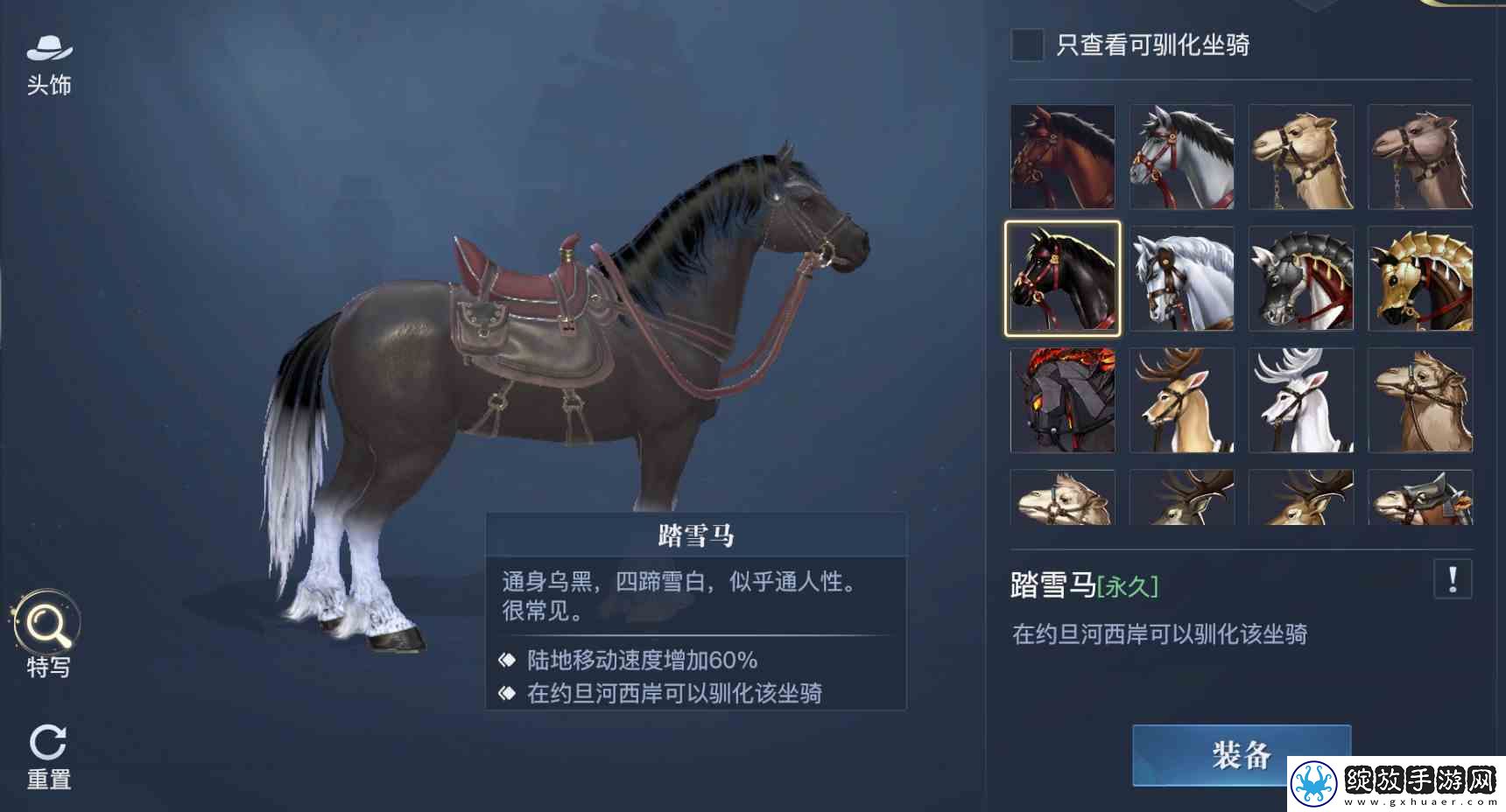 黎明之海稀有坐骑免费获取