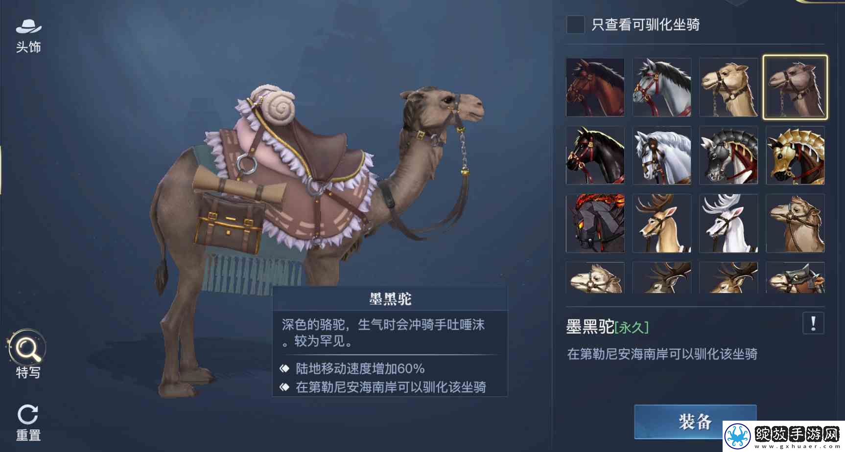 黎明之海稀有坐骑免费获取