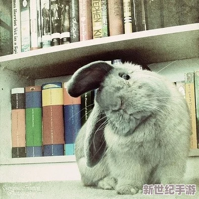 老师你小兔子真可爱