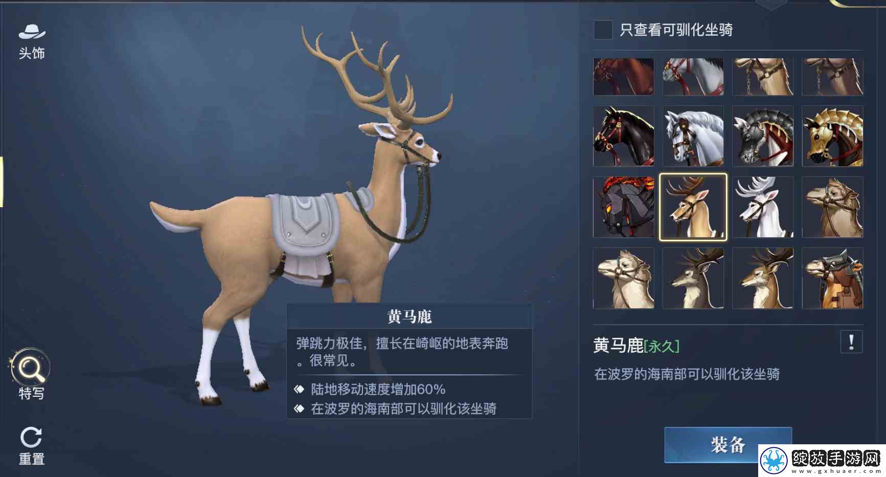 黎明之海稀有坐骑免费获取
