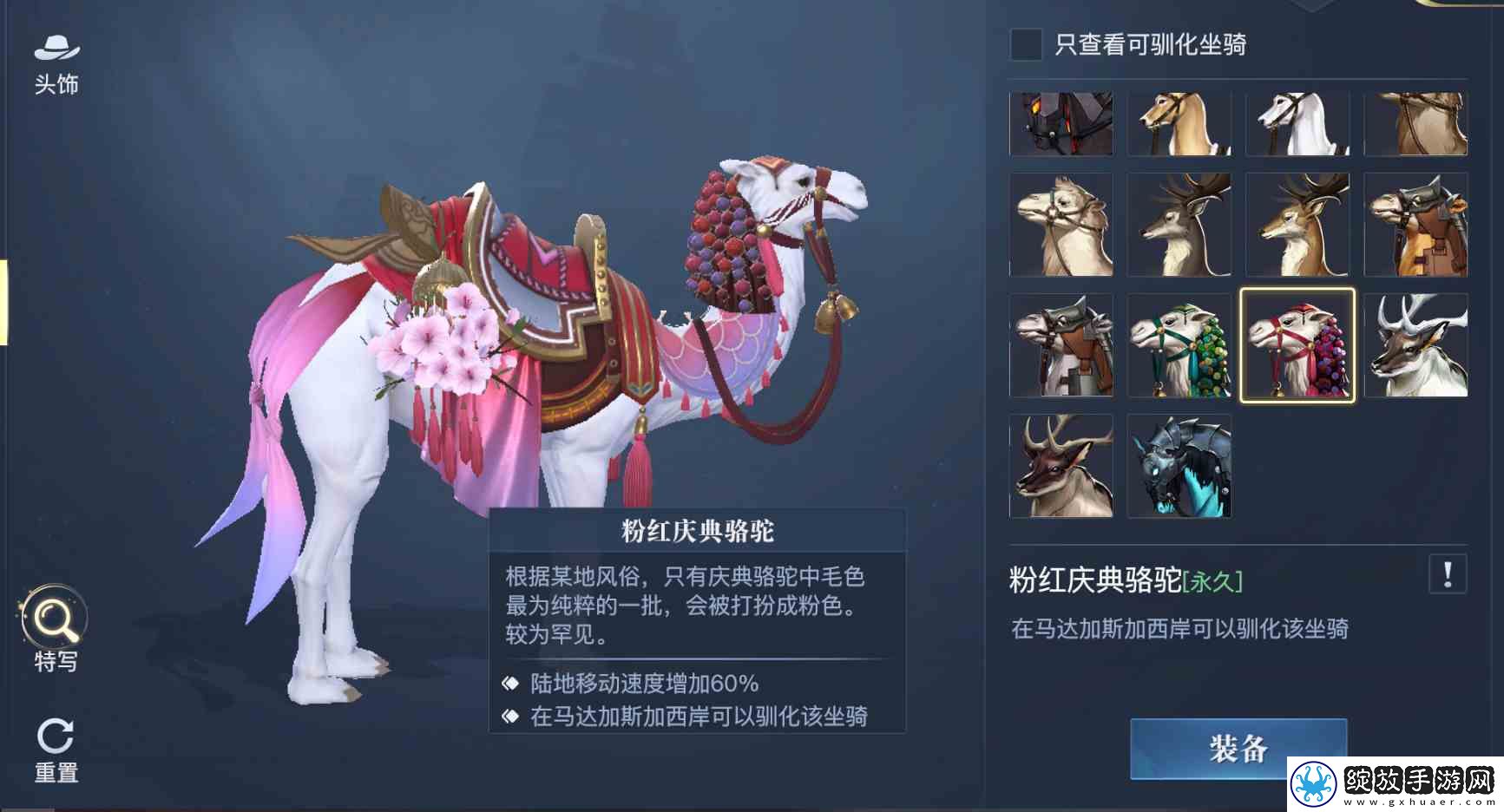 黎明之海稀有坐骑免费获取