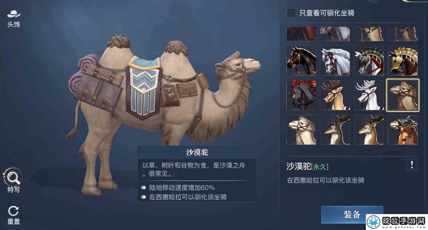 黎明之海稀有坐骑免费获取