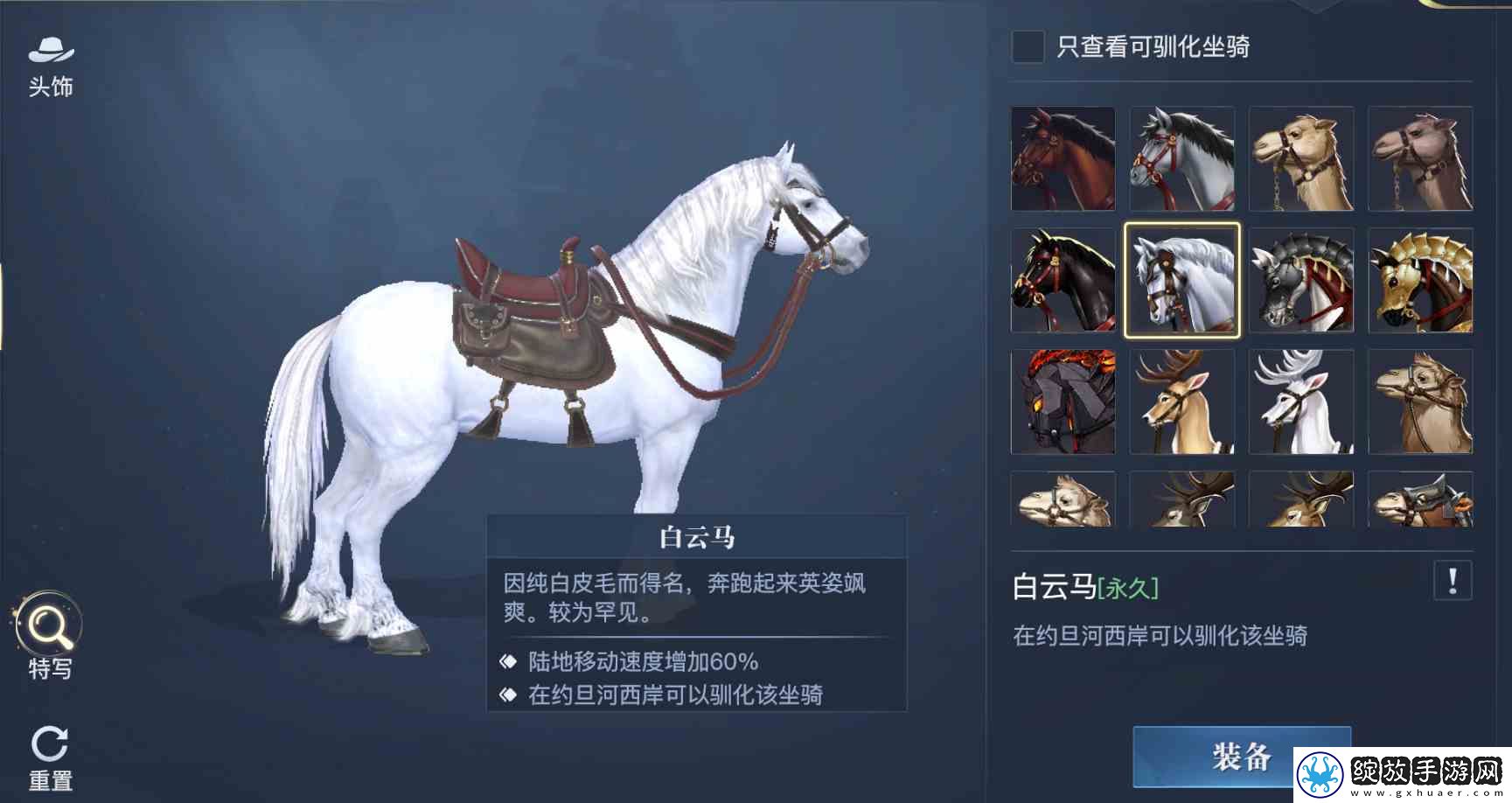 黎明之海稀有坐骑免费获取