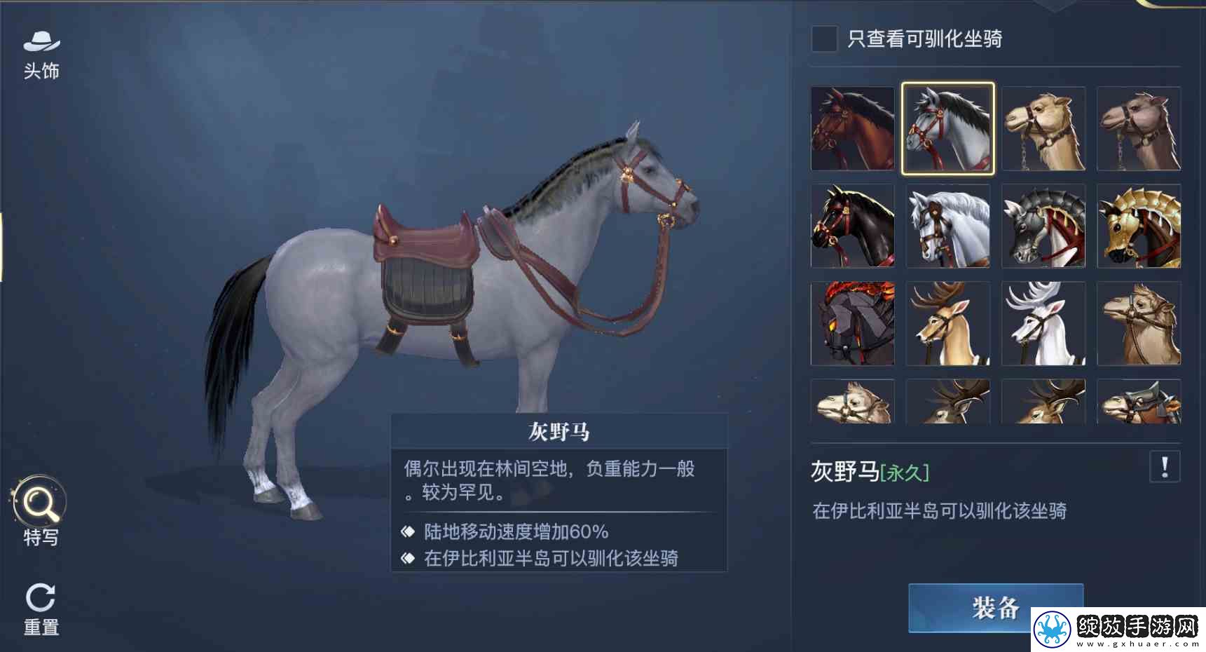 黎明之海稀有坐骑免费获取