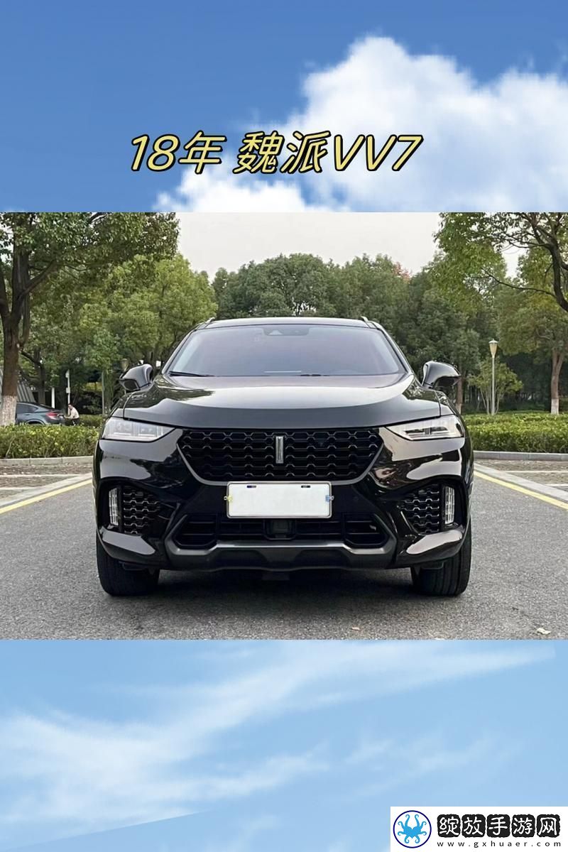 国产毛卡SUV之翘楚