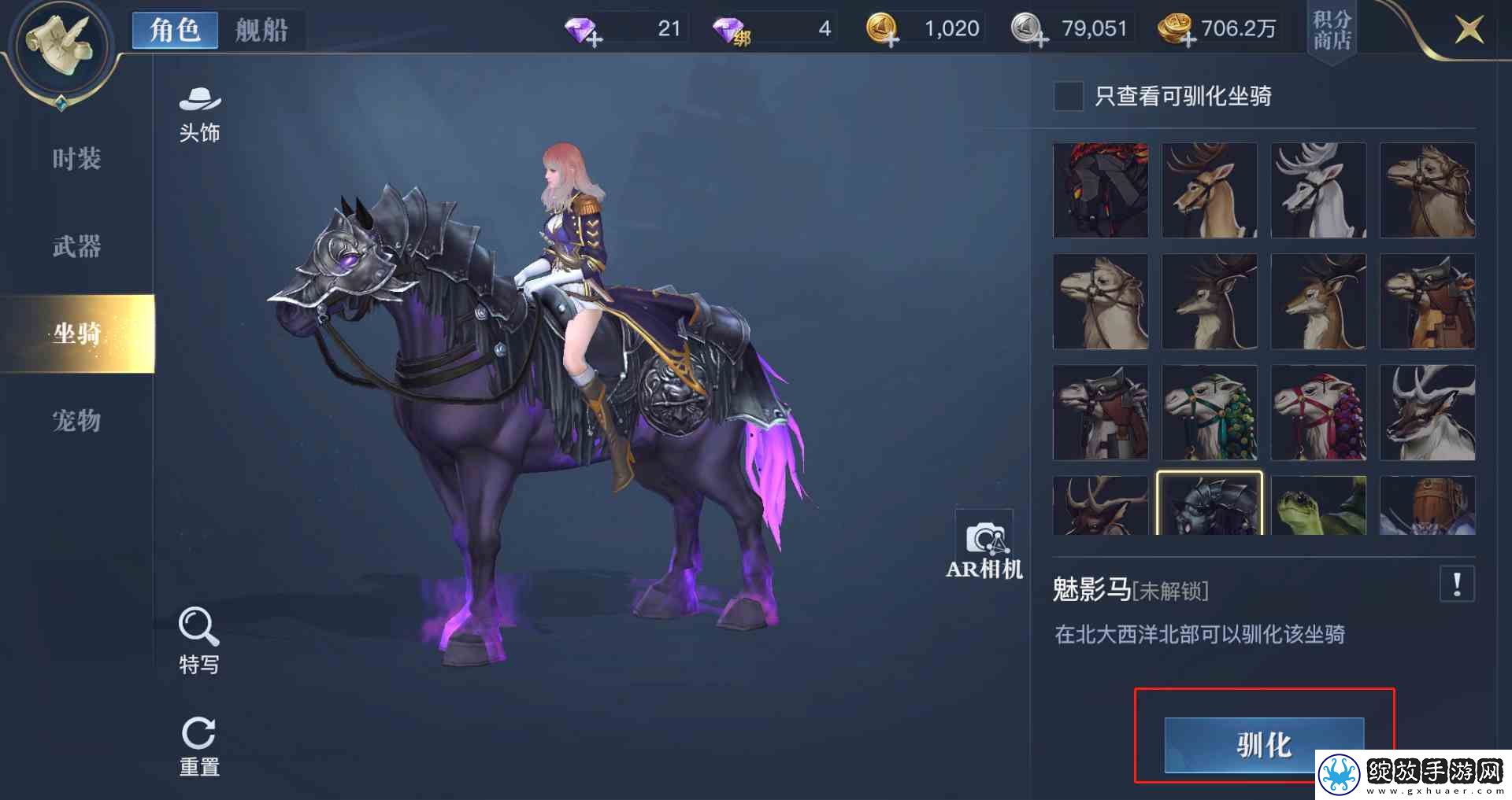 黎明之海稀有坐骑免费获取