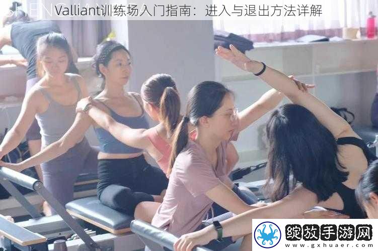 Valliant训练场入门指南