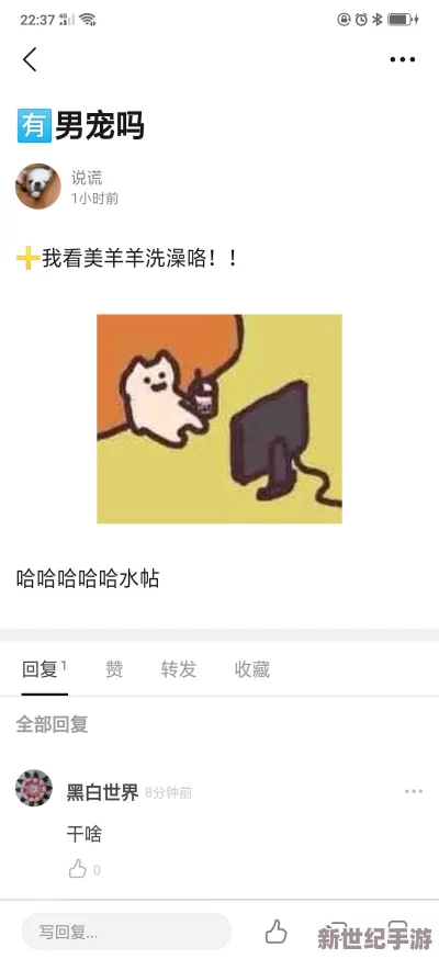 A级毛片