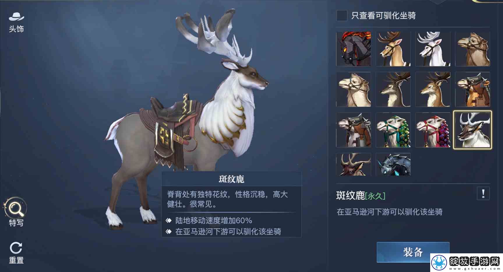 黎明之海稀有坐骑免费获取