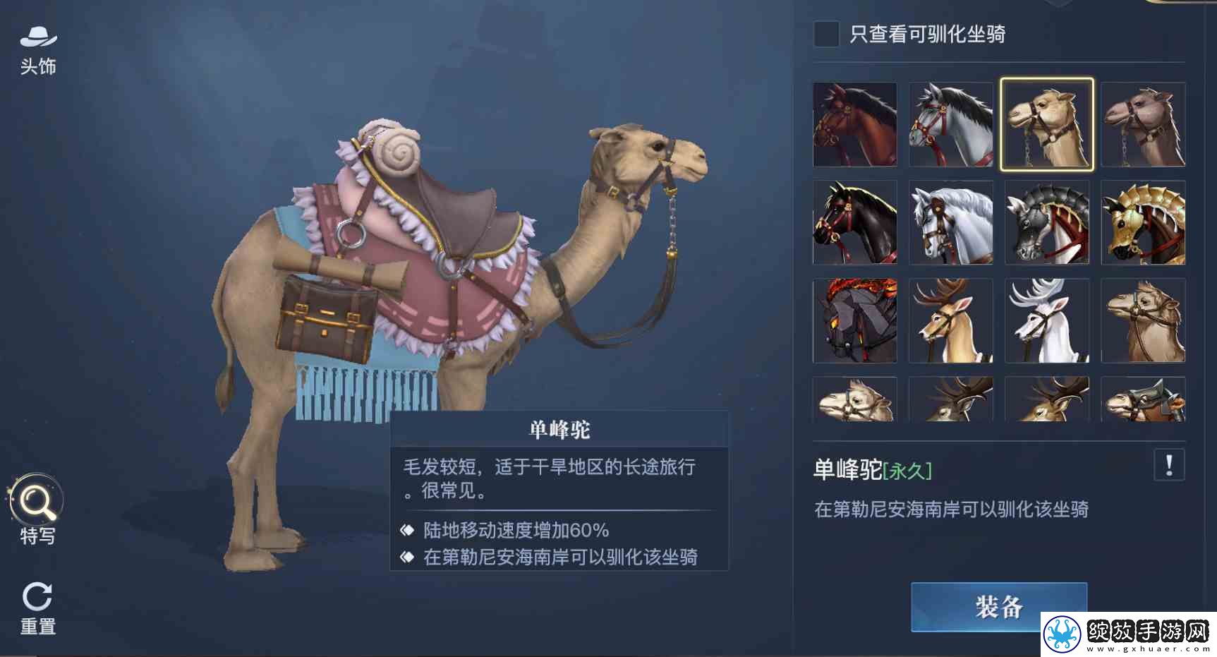 黎明之海稀有坐骑免费获取
