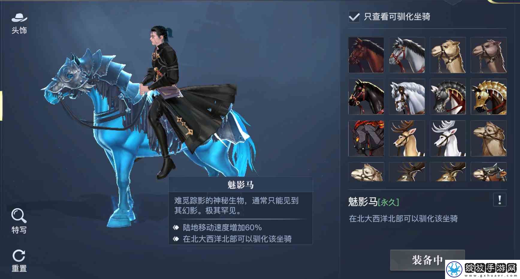 黎明之海稀有坐骑免费获取
