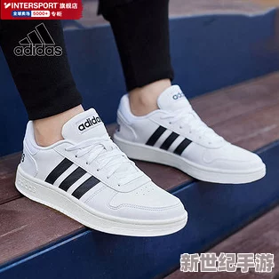 三叶草gy4419