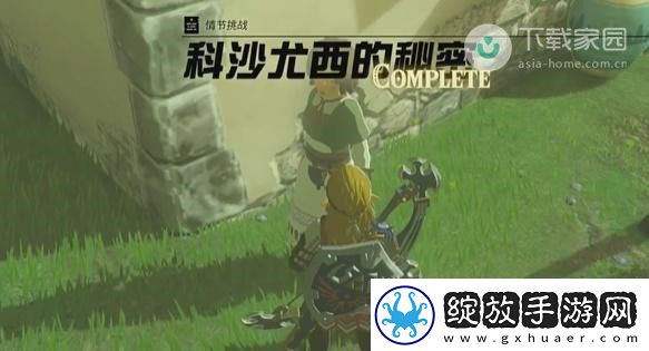 塞尔达传说王国之泪情节挑战攻略大全