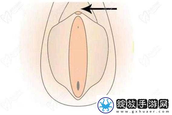 十种