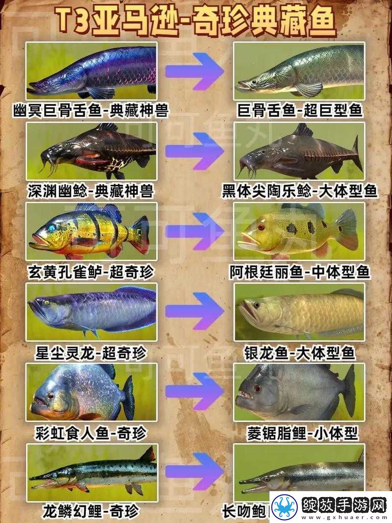 尼尔人工生命鱼类种类及价格概览