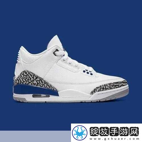 长清大学大一AJ资源