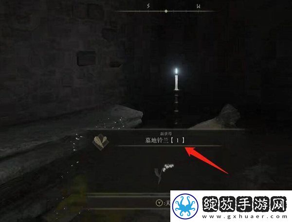 艾尔登法环墓地铃兰位置介绍